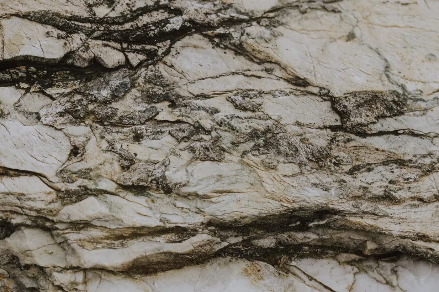 Veined stone slab under consideration for a bar counter and the panel behind the bottles